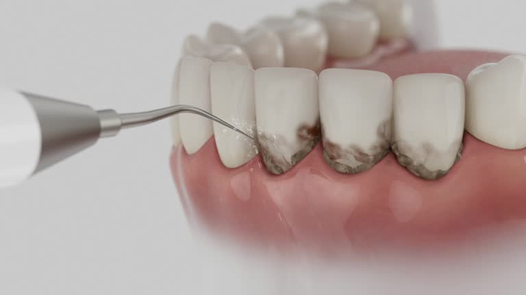 Reliable Dental contractor in Mountain Lake Park, MD by Dentist Open Now